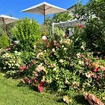 Corteviva Bed & Breakfast Perugia