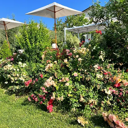 Corteviva Bed & Breakfast Perugia