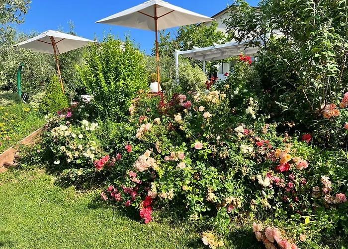 Corteviva Bed and breakfast Perugia